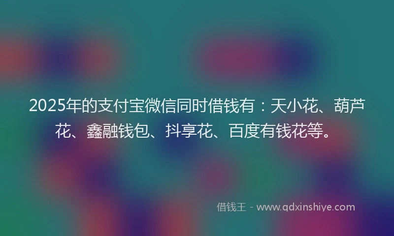 2025年的支付宝微信同时借钱有：天小花、葫芦花、鑫融钱包、抖享花、百度有钱花等。