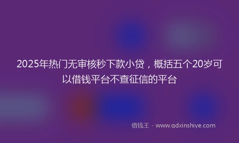 2025年热门无审核秒下款小贷，概括五个20岁可以借钱平台不查征信的平台