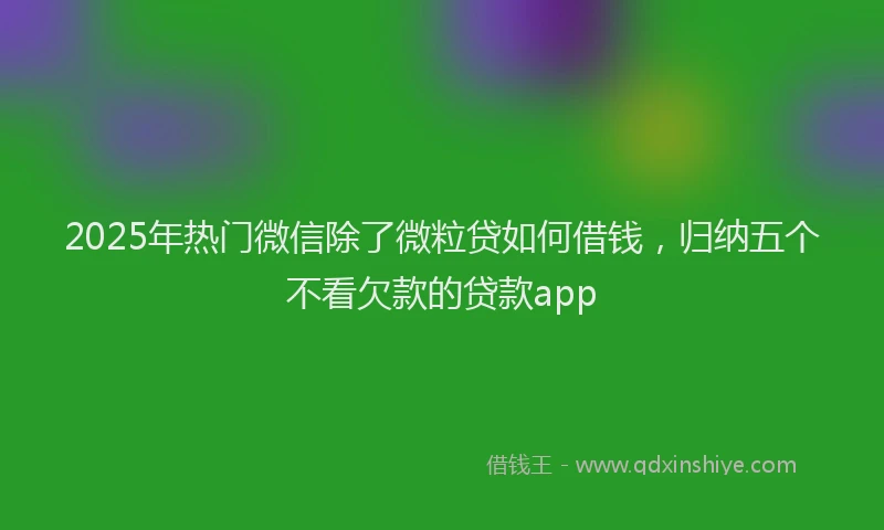2025年热门微信除了微粒贷如何借钱，归纳五个不看欠款的贷款app