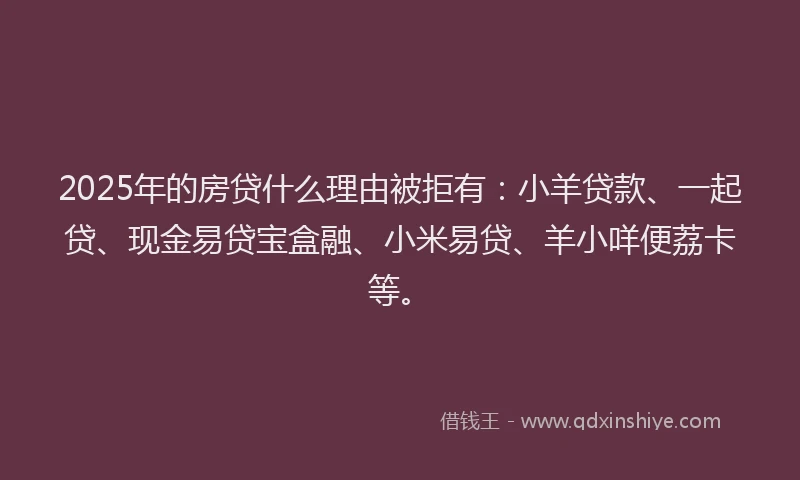 2025年的房贷什么理由被拒有：小羊贷款、一起贷、现金易贷宝盒融、小米易贷、羊小咩便荔卡等。