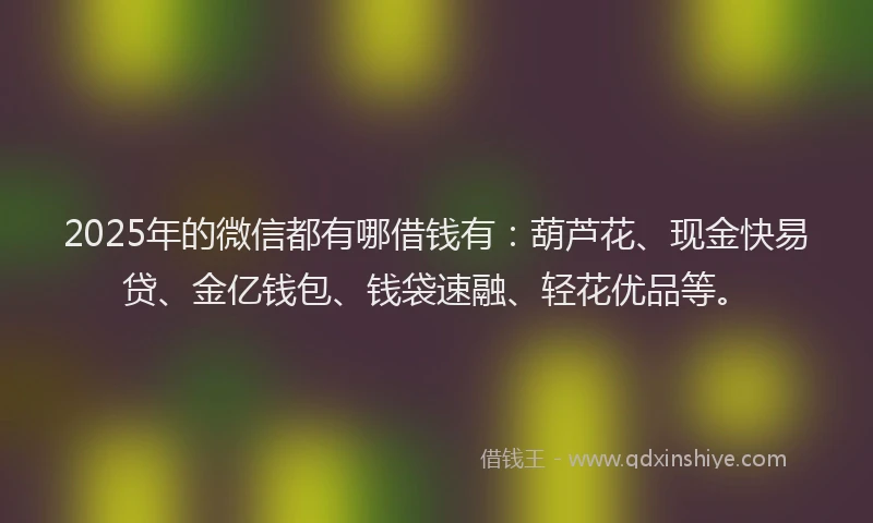 2025年的微信都有哪借钱有：葫芦花、现金快易贷、金亿钱包、钱袋速融、轻花优品等。