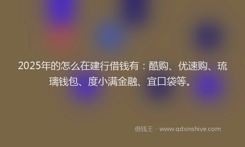 2025年的怎么在建行借钱有：酷购、优速购、琉璃钱包、度小满金融、宜口袋等。