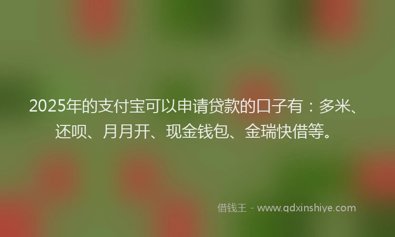 2025年的支付宝可以申请贷款的口子有：多米、还呗、月月开、现金钱包、金瑞快借等。