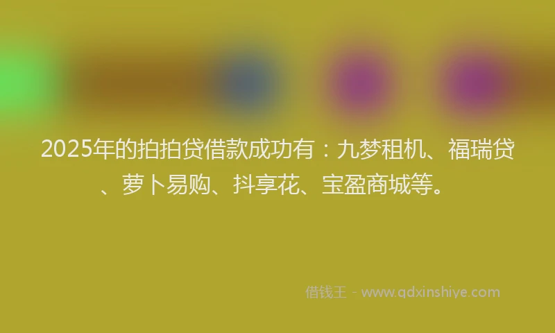 2025年的拍拍贷借款成功有：九梦租机、福瑞贷、萝卜易购、抖享花、宝盈商城等。