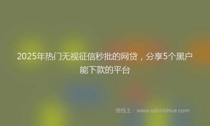 2025年热门无视征信秒批的网贷，分享5个黑户能下款的平台