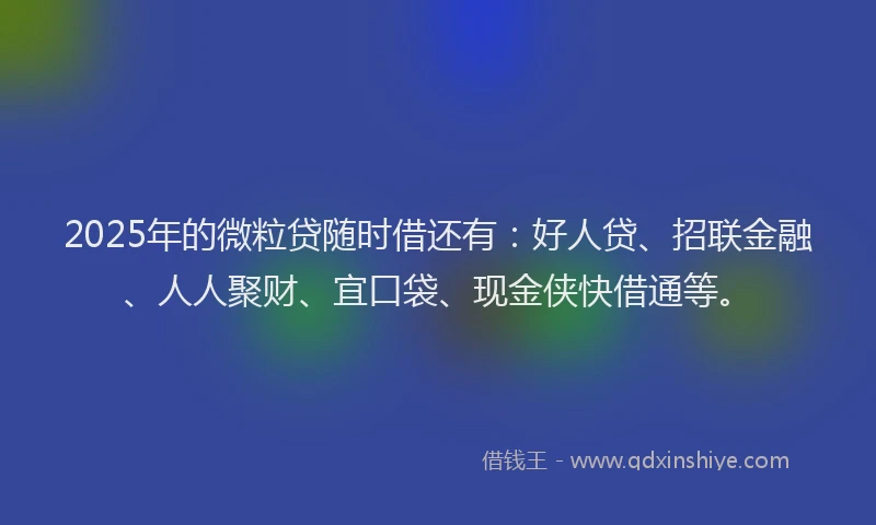 2025年的微粒贷随时借还有：好人贷、招联金融、人人聚财、宜口袋、现金侠快借通等。