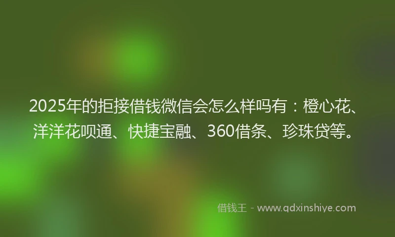 2025年的拒接借钱微信会怎么样吗有：橙心花、洋洋花呗通、快捷宝融、360借条、珍珠贷等。