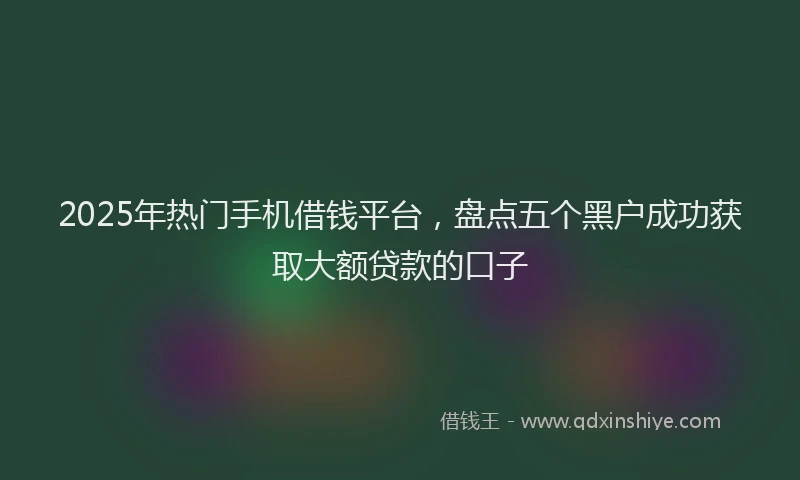 2025年热门手机借钱平台，盘点五个黑户成功获取大额贷款的口子