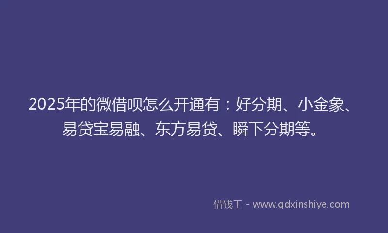 2025年的微借呗怎么开通有：好分期、小金象、易贷宝易融、东方易贷、瞬下分期等。