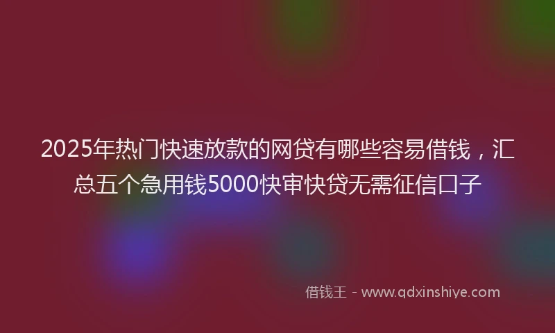 2025年热门快速放款的网贷有哪些容易借钱，汇总五个急用钱5000快审快贷无需征信口子