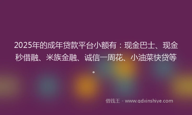 2025年的成年贷款平台小额有：现金巴士、现金秒借融、米族金融、诚信一周花、小油菜快贷等。