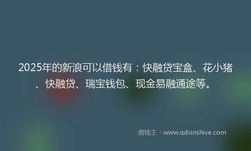 2025年的新浪可以借钱有：快融贷宝盒、花小猪、快融贷、瑞宝钱包、现金易融通途等。