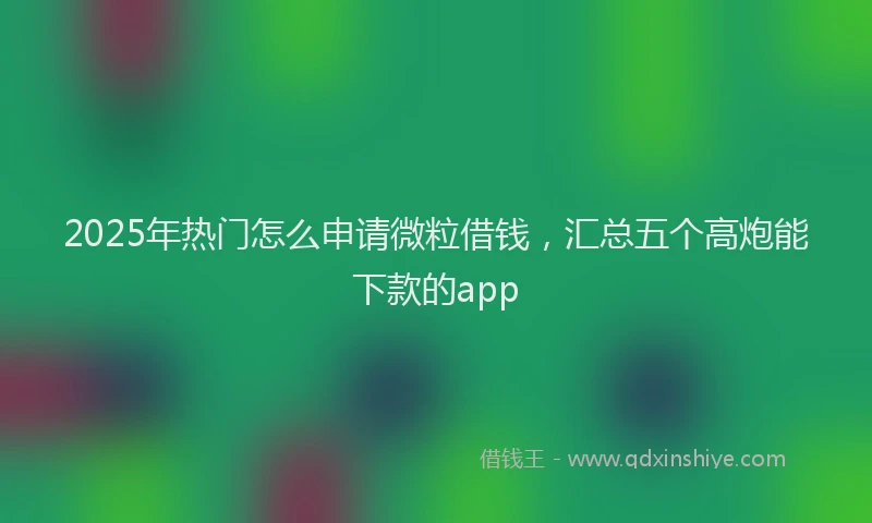 2025年热门怎么申请微粒借钱，汇总五个高炮能下款的app