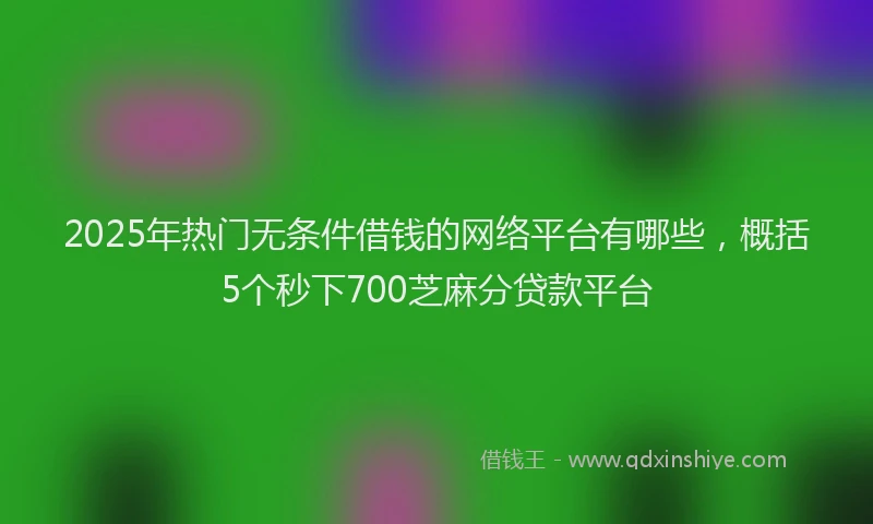 2025年热门无条件借钱的网络平台有哪些，概括5个秒下700芝麻分贷款平台