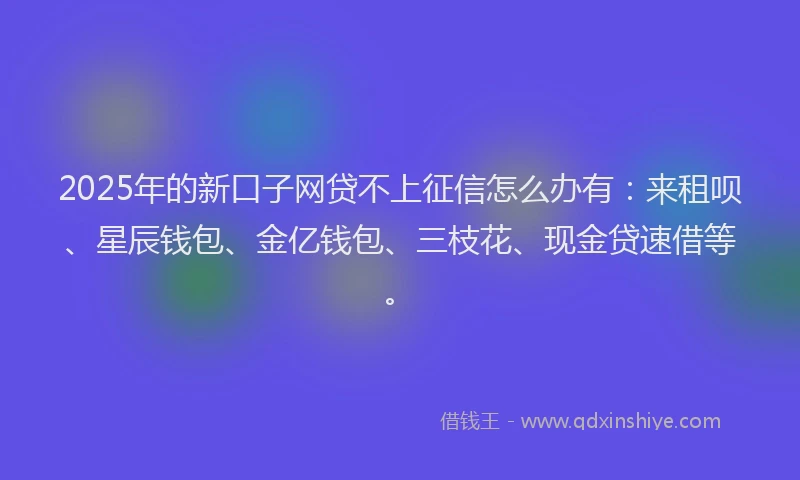 2025年的新口子网贷不上征信怎么办有：来租呗、星辰钱包、金亿钱包、三枝花、现金贷速借等。