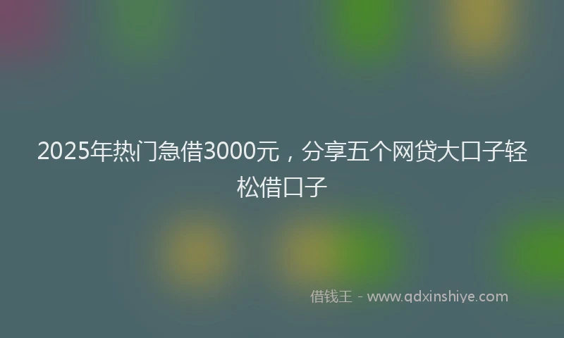 2025年热门急借3000元，分享五个网贷大口子轻松借口子