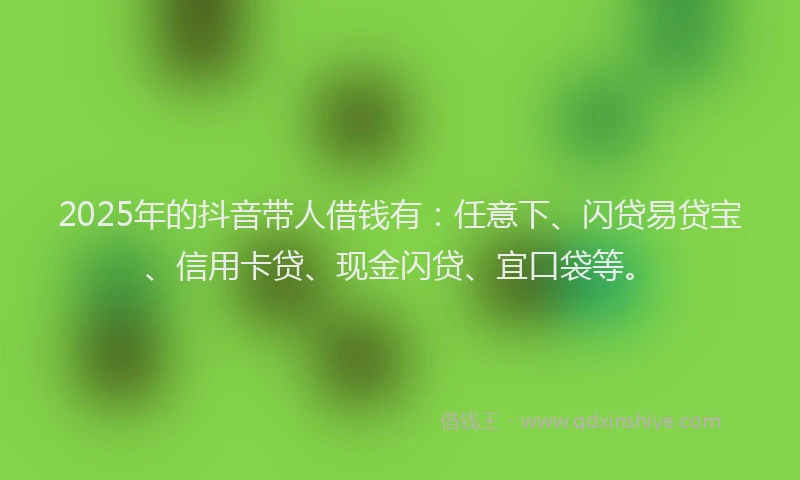 2025年的抖音带人借钱有：任意下、闪贷易贷宝、信用卡贷、现金闪贷、宜口袋等。