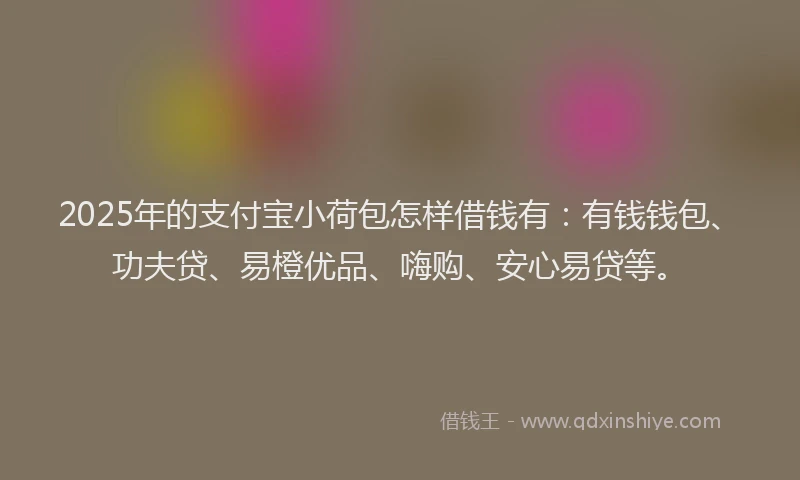 2025年的支付宝小荷包怎样借钱有：有钱钱包、功夫贷、易橙优品、嗨购、安心易贷等。
