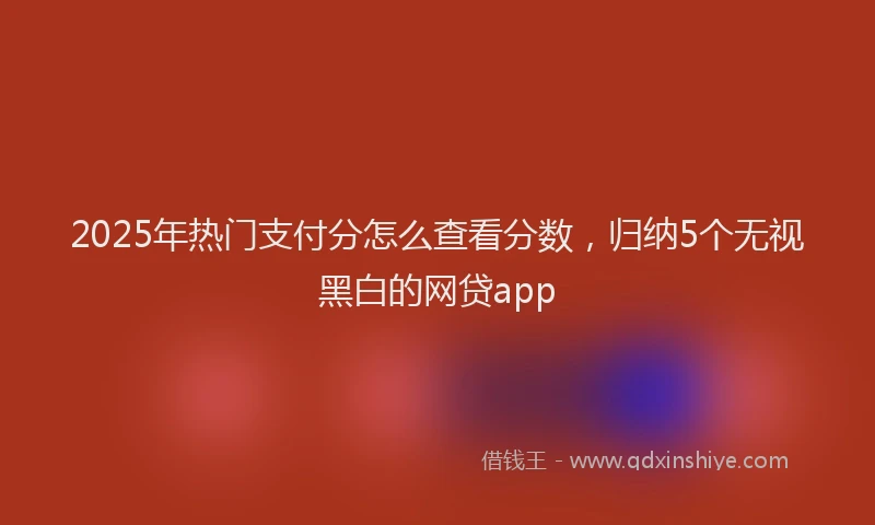 2025年热门支付分怎么查看分数，归纳5个无视黑白的网贷app
