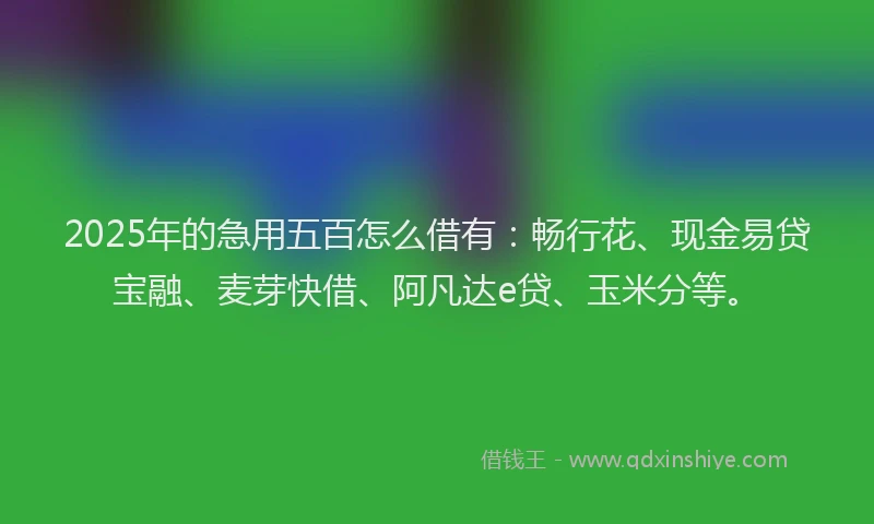 2025年的急用五百怎么借有：畅行花、现金易贷宝融、麦芽快借、阿凡达e贷、玉米分等。
