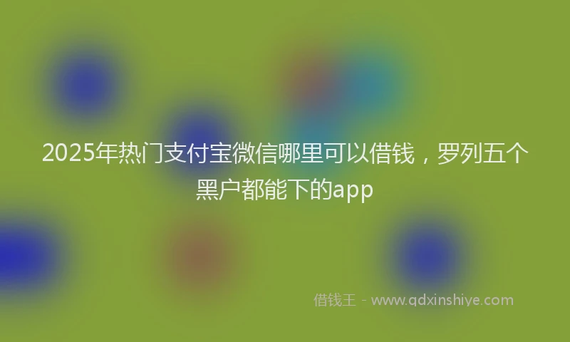 2025年热门支付宝微信哪里可以借钱，罗列五个黑户都能下的app