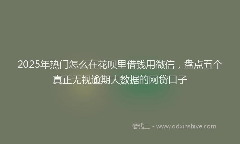 2025年热门怎么在花呗里借钱用微信，盘点五个真正无视逾期大数据的网贷口子