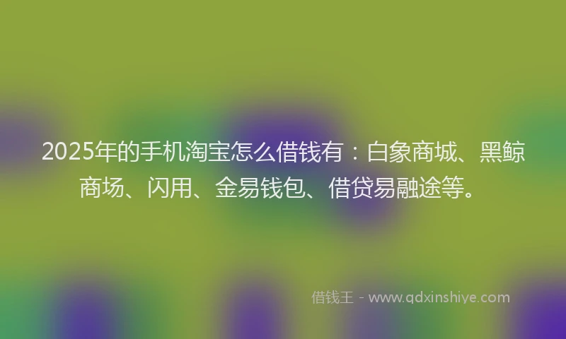 2025年的手机淘宝怎么借钱有：白象商城、黑鲸商场、闪用、金易钱包、借贷易融途等。