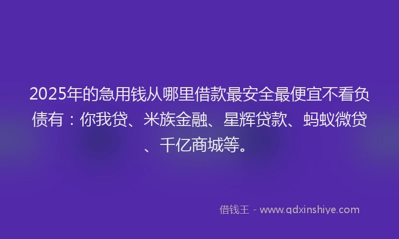 2025年的急用钱从哪里借款最安全最便宜不看负债有：你我贷、米族金融、星辉贷款、蚂蚁微贷、千亿商城等。