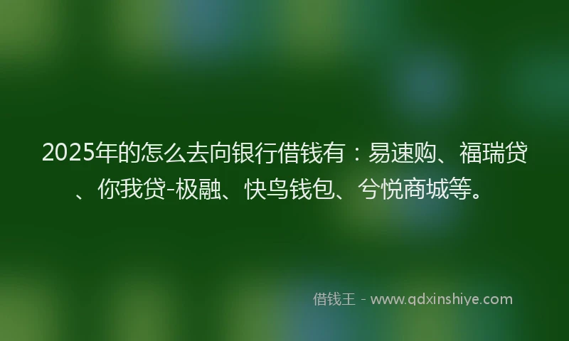 2025年的怎么去向银行借钱有：易速购、福瑞贷、你我贷-极融、快鸟钱包、兮悦商城等。