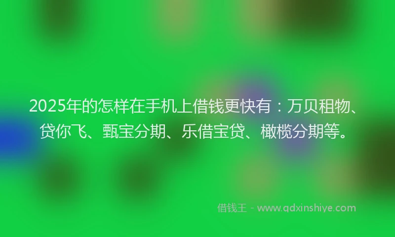 2025年的怎样在手机上借钱更快有：万贝租物、贷你飞、甄宝分期、乐借宝贷、橄榄分期等。