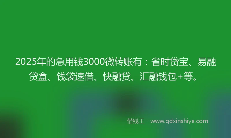 2025年的急用钱3000微转账有：省时贷宝、易融贷盒、钱袋速借、快融贷、汇融钱包+等。