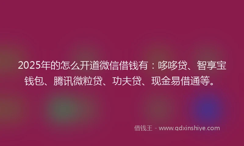 2025年的怎么开道微信借钱有：哆哆贷、智享宝钱包、腾讯微粒贷、功夫贷、现金易借通等。