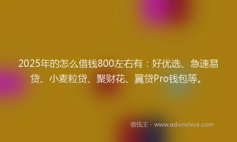 2025年的怎么借钱800左右有：好优选、急速易贷、小麦粒贷、聚财花、翼贷Pro钱包等。