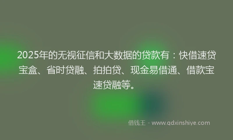 2025年的无视征信和大数据的贷款有：快借速贷宝盒、省时贷融、拍拍贷、现金易借通、借款宝速贷融等。