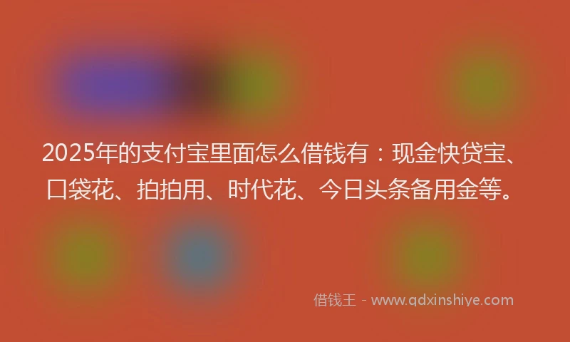 2025年的支付宝里面怎么借钱有：现金快贷宝、口袋花、拍拍用、时代花、今日头条备用金等。