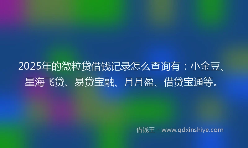 2025年的微粒贷借钱记录怎么查询有：小金豆、星海飞贷、易贷宝融、月月盈、借贷宝通等。