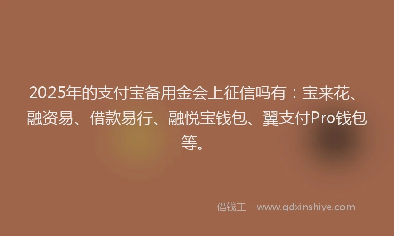 2025年的支付宝备用金会上征信吗有：宝来花、融资易、借款易行、融悦宝钱包、翼支付Pro钱包等。