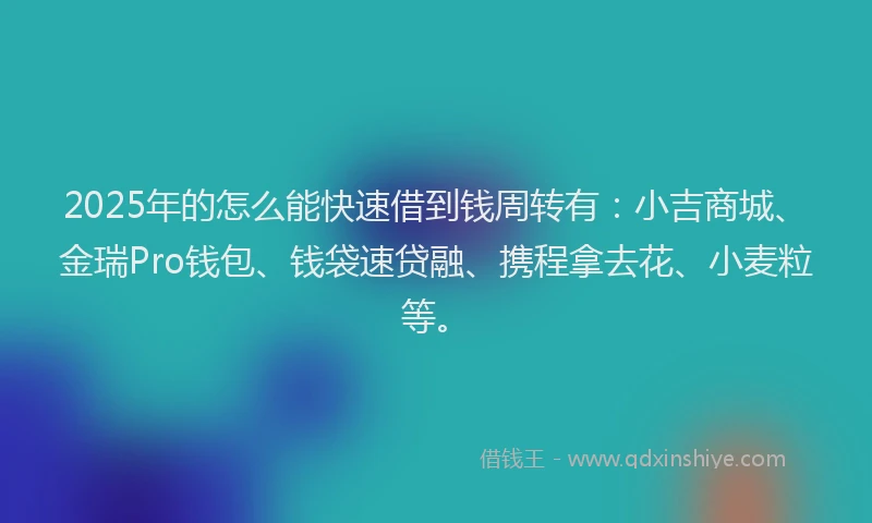 2025年的怎么能快速借到钱周转有：小吉商城、金瑞Pro钱包、钱袋速贷融、携程拿去花、小麦粒等。