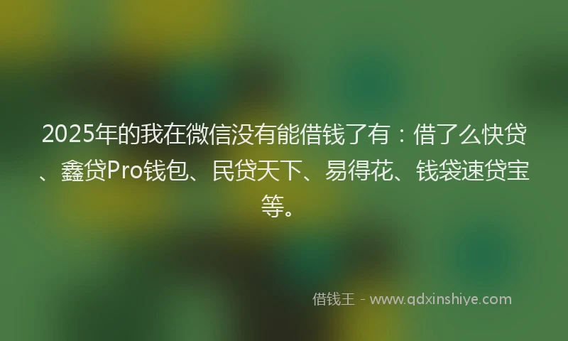 2025年的我在微信没有能借钱了有：借了么快贷、鑫贷Pro钱包、民贷天下、易得花、钱袋速贷宝等。