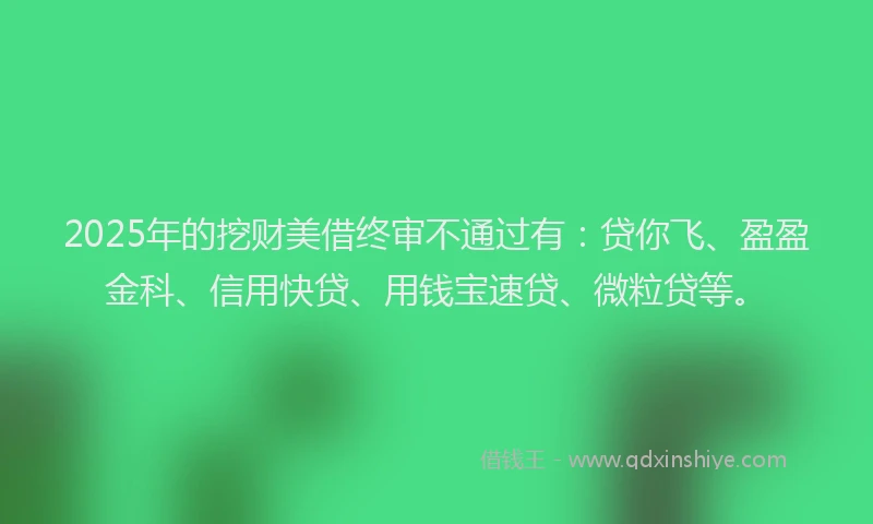 2025年的挖财美借终审不通过有：贷你飞、盈盈金科、信用快贷、用钱宝速贷、微粒贷等。