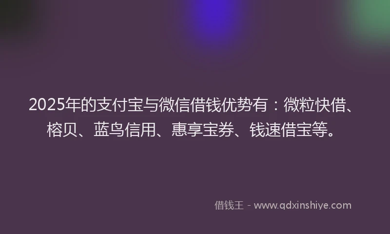 2025年的支付宝与微信借钱优势有：微粒快借、榕贝、蓝鸟信用、惠享宝券、钱速借宝等。