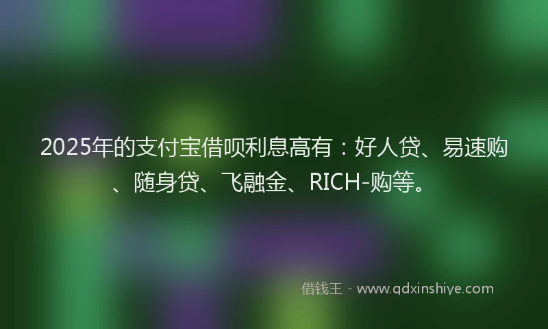 2025年的支付宝借呗利息高有：好人贷、易速购、随身贷、飞融金、RICH-购等。