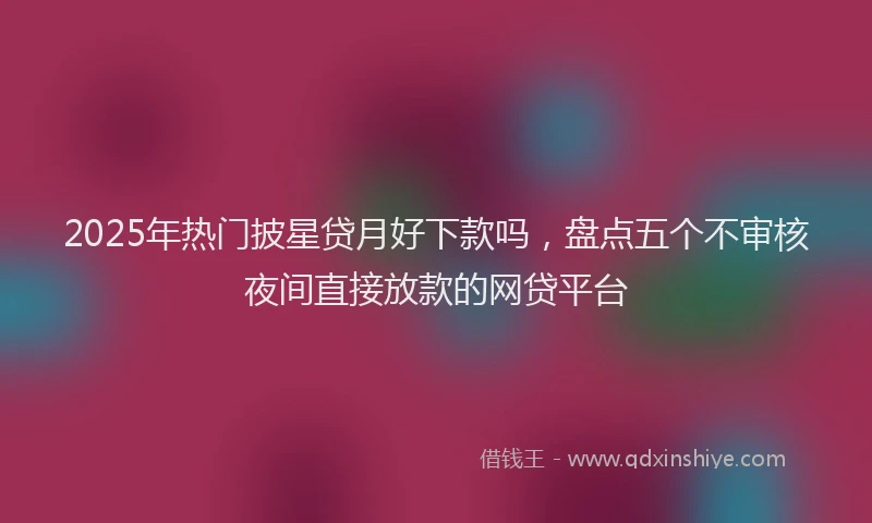 2025年热门披星贷月好下款吗，盘点五个不审核夜间直接放款的网贷平台