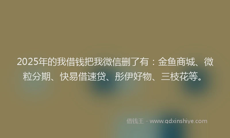 2025年的我借钱把我微信删了有：金鱼商城、微粒分期、快易借速贷、彤伊好物、三枝花等。