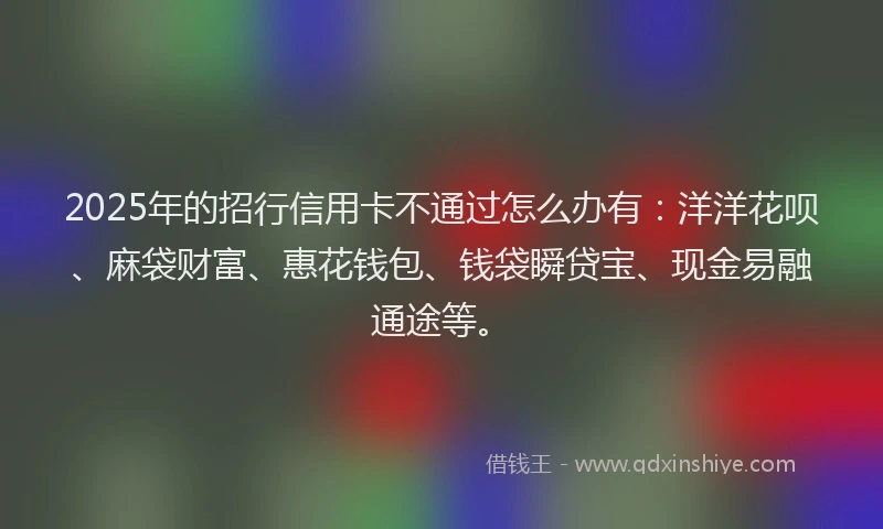 2025年的招行信用卡不通过怎么办有：洋洋花呗、麻袋财富、惠花钱包、钱袋瞬贷宝、现金易融通途等。