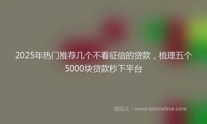 2025年热门推荐几个不看征信的贷款，梳理五个5000块贷款秒下平台