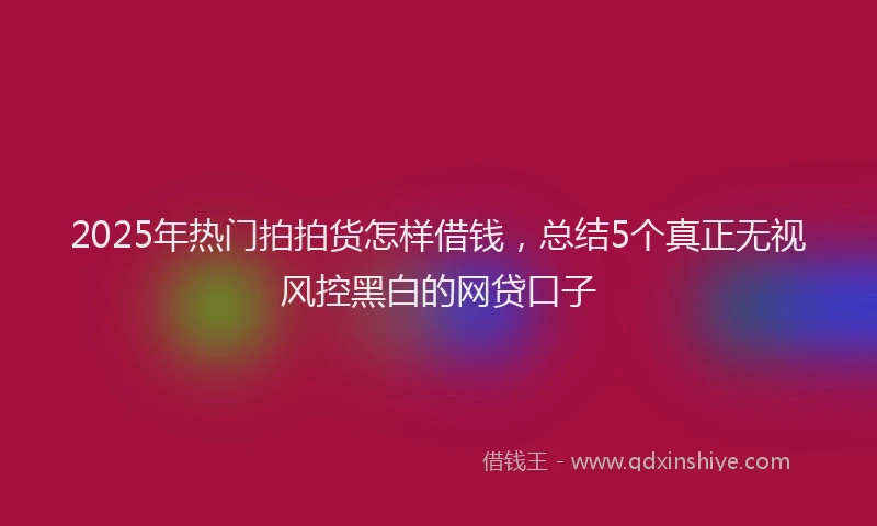 2025年热门拍拍货怎样借钱，总结5个真正无视风控黑白的网贷口子