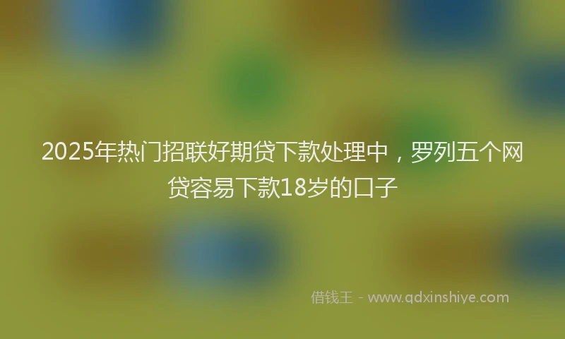 2025年热门招联好期贷下款处理中，罗列五个网贷容易下款18岁的口子