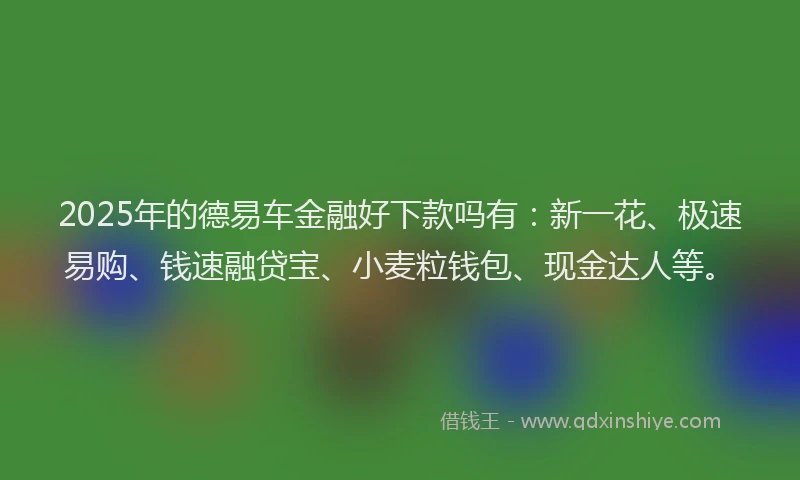 2025年的德易车金融好下款吗有：新一花、极速易购、钱速融贷宝、小麦粒钱包、现金达人等。