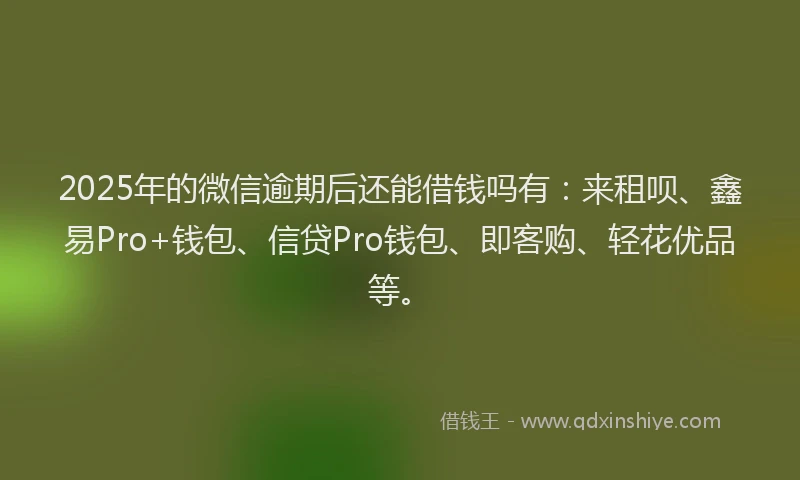 2025年的微信逾期后还能借钱吗有：来租呗、鑫易Pro+钱包、信贷Pro钱包、即客购、轻花优品等。